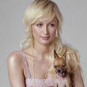 Paris Hilton looking cute as a button in her pink bikini and holding a baby chihuahua